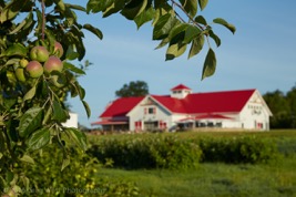 Applecrest Farm Orchard Hampton Falls New Hampshire U-Pick Apples | upickfarmlocator.com
